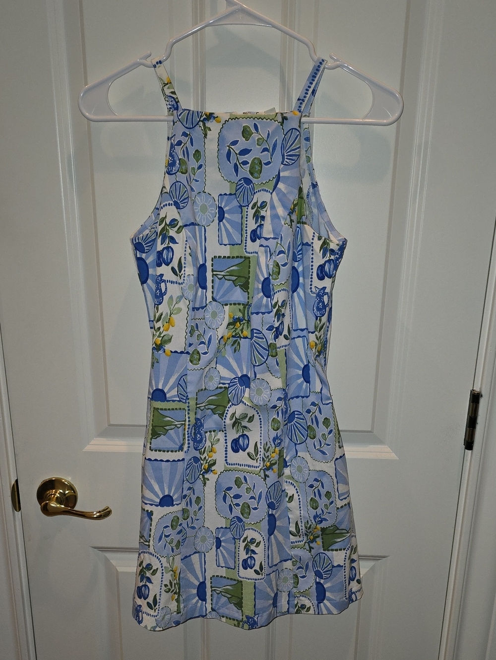 Francesca's Floral Blue Mini Dress